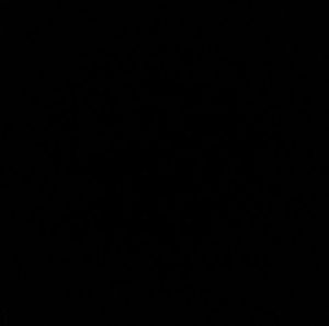 Meet your Posher, David luiz santos